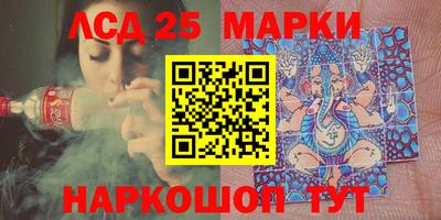 гидропоника Новокубанск