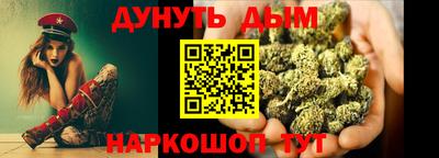 spice Новодвинск
