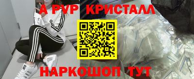 spice Новодвинск