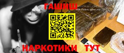 spice Новодвинск