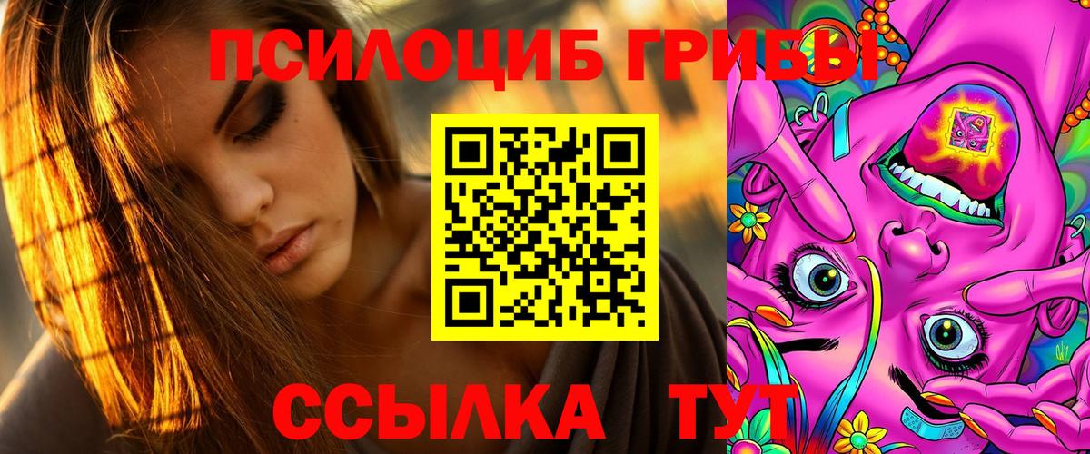 Стрежевой  Галлюциногенные грибы Psilocybine cubensis  Вход с VPN 